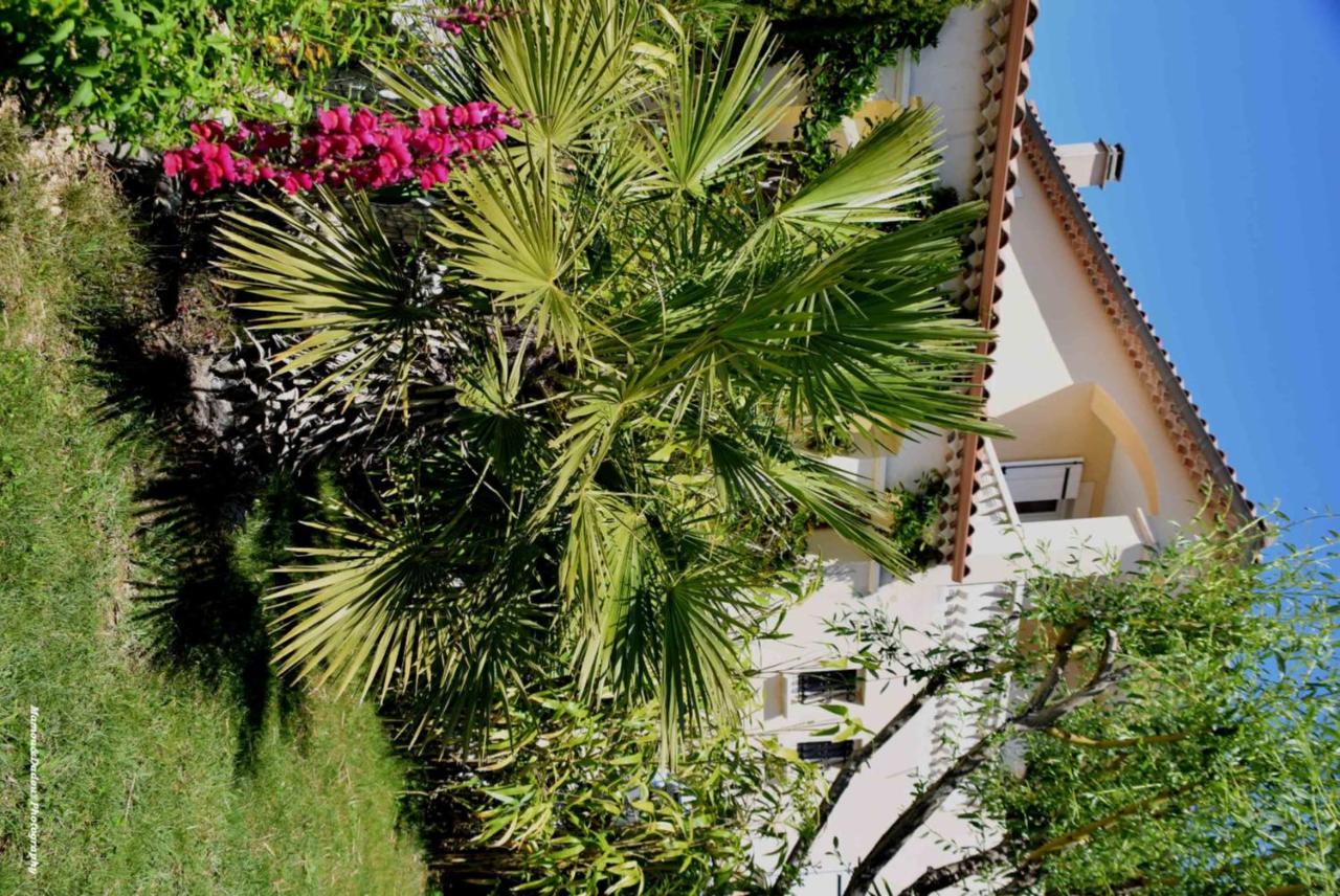 Chez Mamou & Dadou Apartment Monteux Ngoại thất bức ảnh